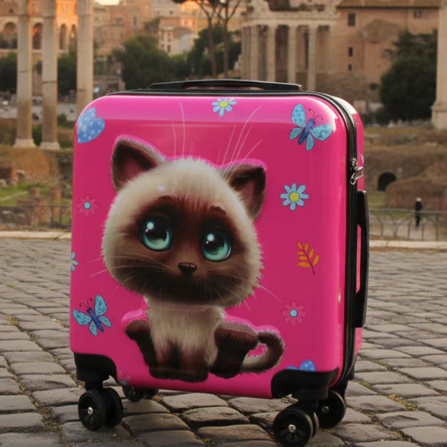 Hard Shell Travel Suitcase with 360° Rotating Wheels