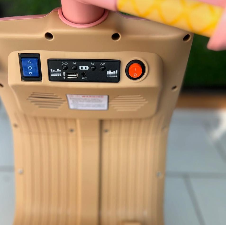Kid Electric Scooter