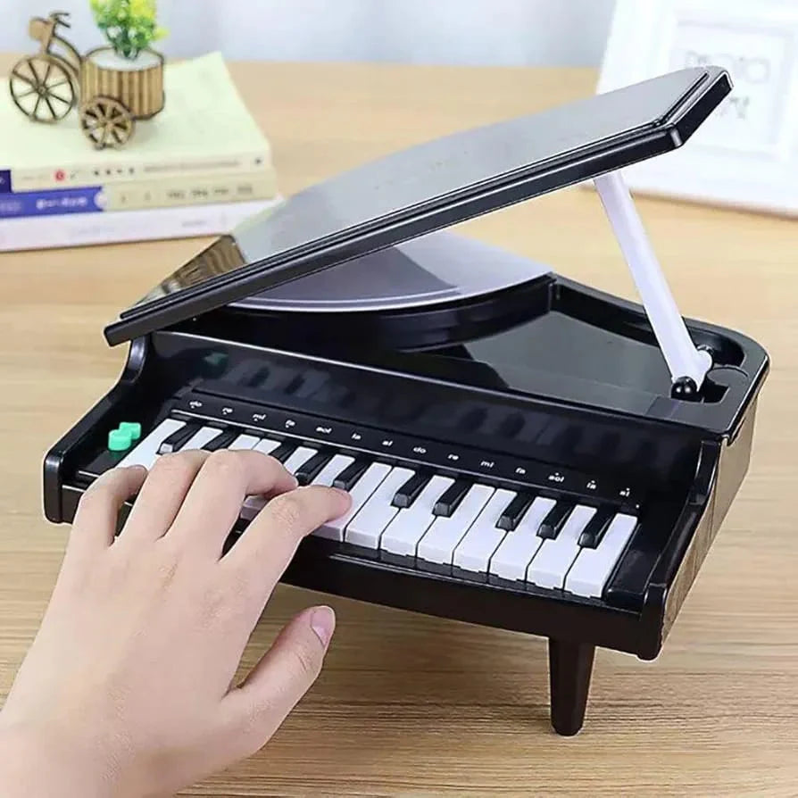 Portable 25 Key Piano With Light And Sound