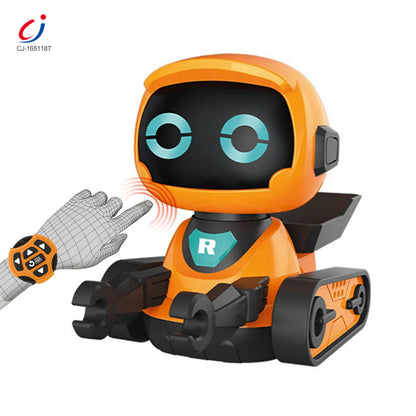 Early Education Intelligent Robot