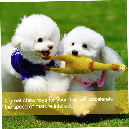 Squeaky Screaming Chicken Fun Pet