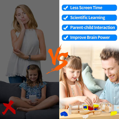 Kids Early Educational Learning Toys Human Organs Model