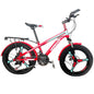 KIDS BICYCLE 20″
