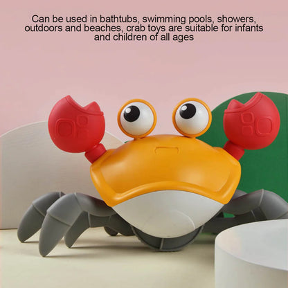 Baby Crab Crawling Toy