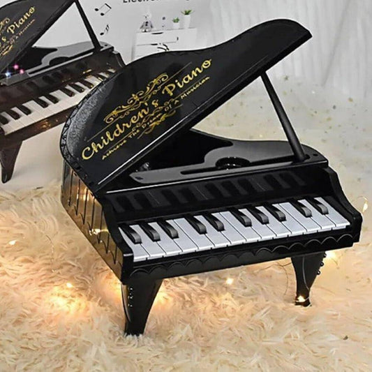 Portable 25 Key Piano With Light And Sound