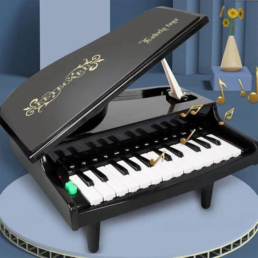 Portable 25 Key Piano With Light And Sound