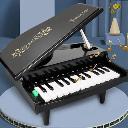 Portable 25 Key Piano With Light And Sound