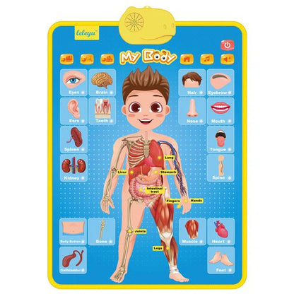 My Body Part Learning Talking Poster Toy