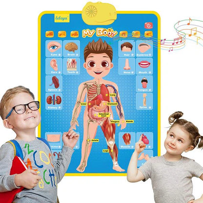 My Body Part Learning Talking Poster Toy