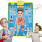 My Body Part Learning Talking Poster Toy