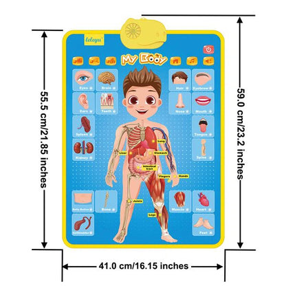 My Body Part Learning Talking Poster Toy