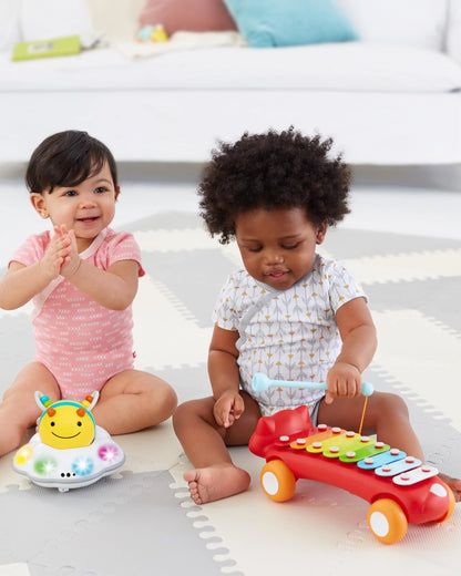 Skip Hop Explore And More Fox Xylophone