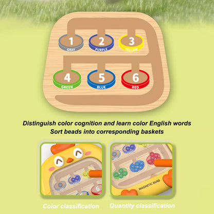 Magnetic Color and Number Maze Chicken Design