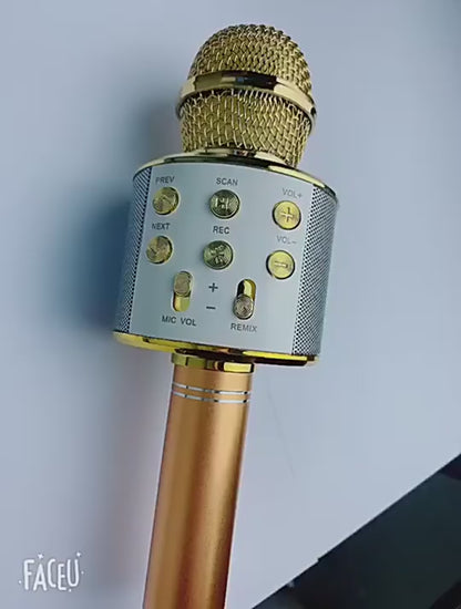 Wireless Bluetooth Karaoke Handheld Microphone With USB