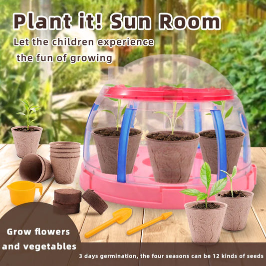 Plant Grow Sun Room Science and Education Toy For Kids