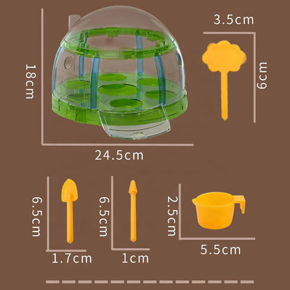 Plant Grow Sun Room Science and Education Toy For Kids