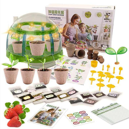 Plant Grow Sun Room Science and Education Toy For Kids