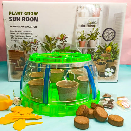 Plant Grow Sun Room Science and Education Toy For Kids