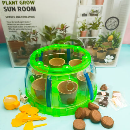 Plant Grow Sun Room Science and Education Toy For Kids