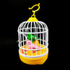 Singing Bird Cage Voice Control Electric Bird Toy Interactive Kids Toy