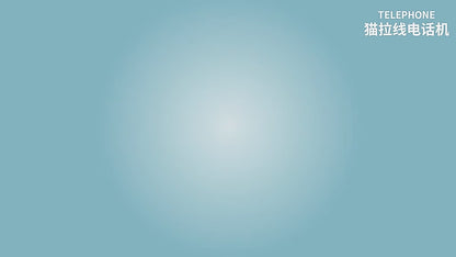 Baby Montessori Electric Telephone Toys with 12 Functions Children Cute Cat Car